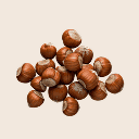 Hazelnut