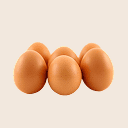Chicken Egg
