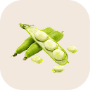 Broad bean