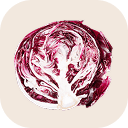Cabbage (red)