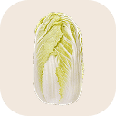 Chinese cabbage