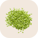 Grass pea