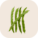 Green bean