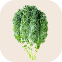 Kale (curled kale)