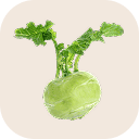 Kohlrabi (turnip cabbage)