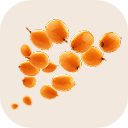 Sea buckthorn juice