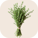 Thyme